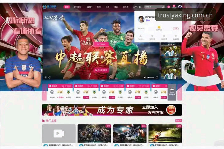 亚星体育平台移动端用户体验深度剖析：从APP到全场景娱乐新范式
